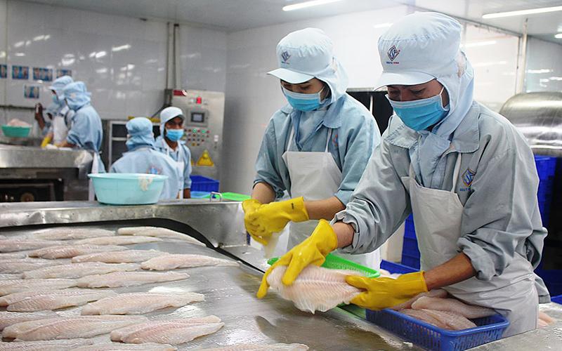 Triển vọng trong xuất khẩu nông, lâm, thủy sản Triển vọng trong xuất khẩu nông, lâm, thủy sản